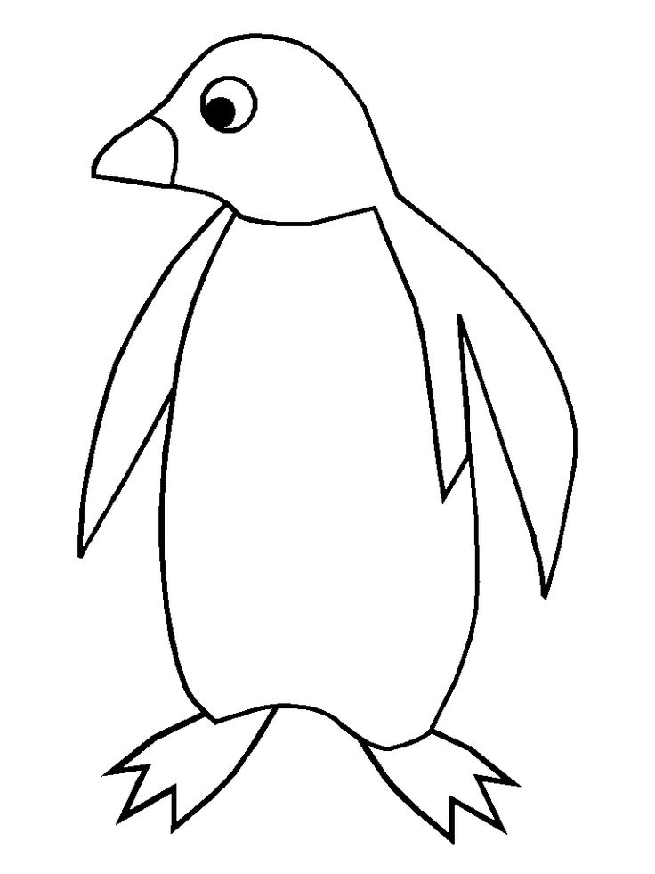 Pingwin kolorowanki